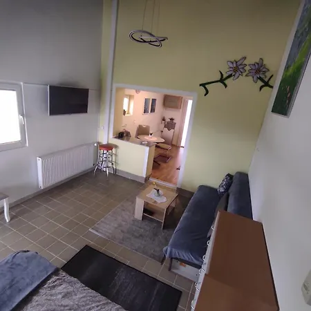 Apartma Zadnikar 公寓