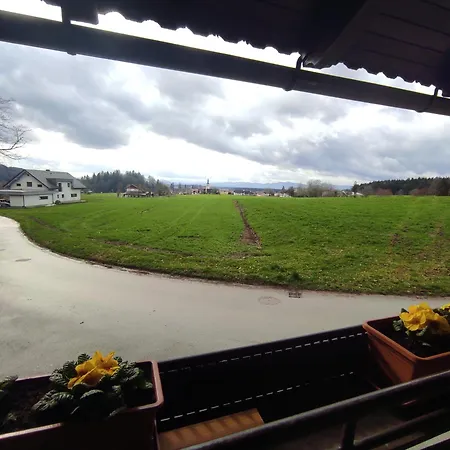 Apartma Zadnikar Apartment Preddvor