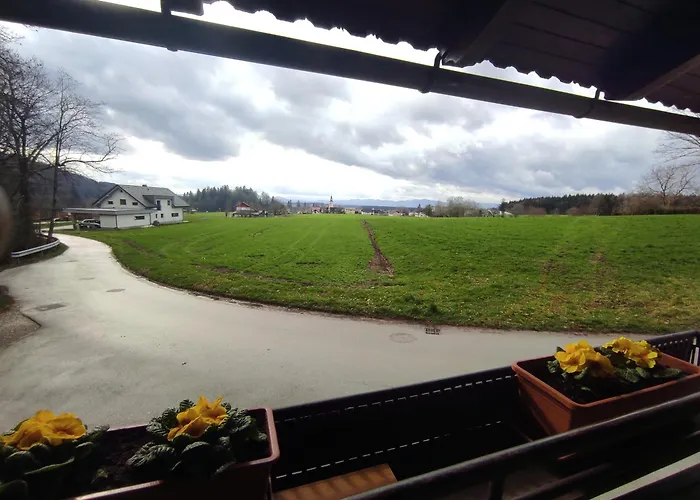 Apartma Zadnikar Appartement Preddvor